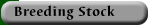 Breeding Stock